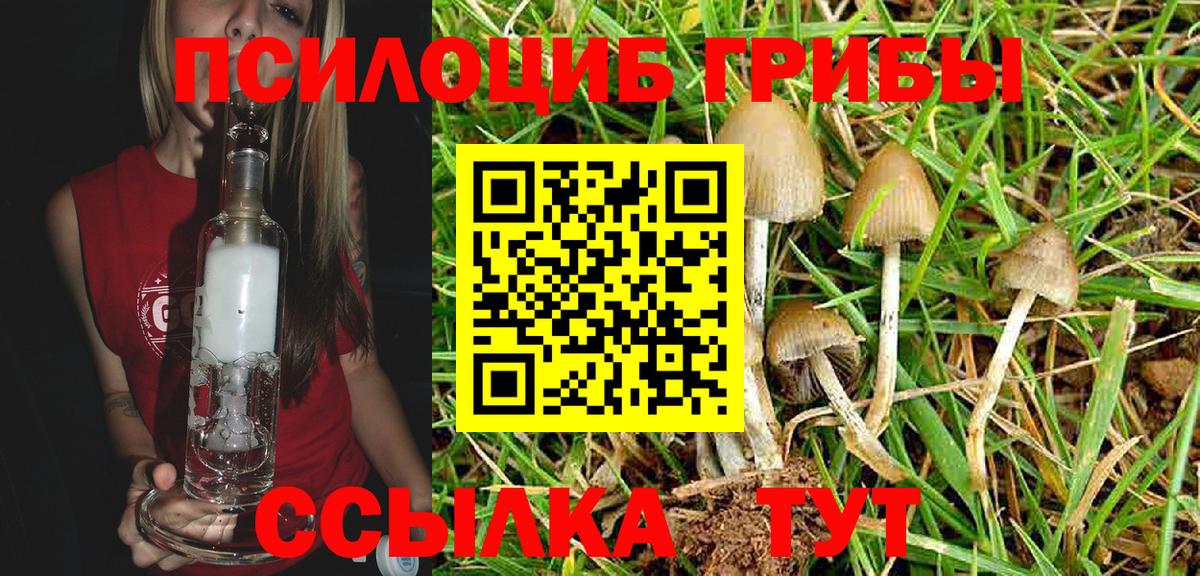 даркнет сайт  Галлюциногенные грибы Magic Shrooms  Вход с VPN  Великие Луки 