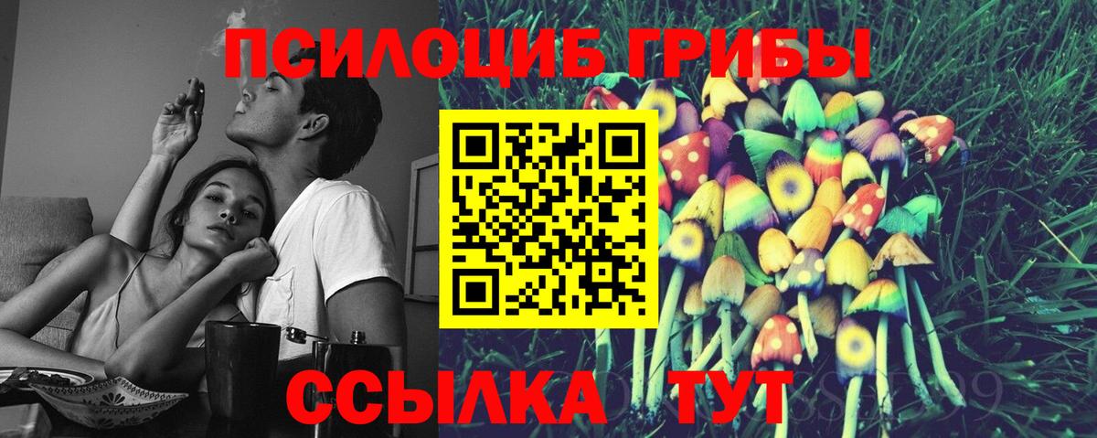 Галлюциногенные грибы Psilocybine cubensis Великие Луки